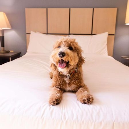 โซเนสตา ซิมพลี สวีท โคลัมบัส แอร์พอร์ต Hotel Gahanna ภายนอก รูปภาพ