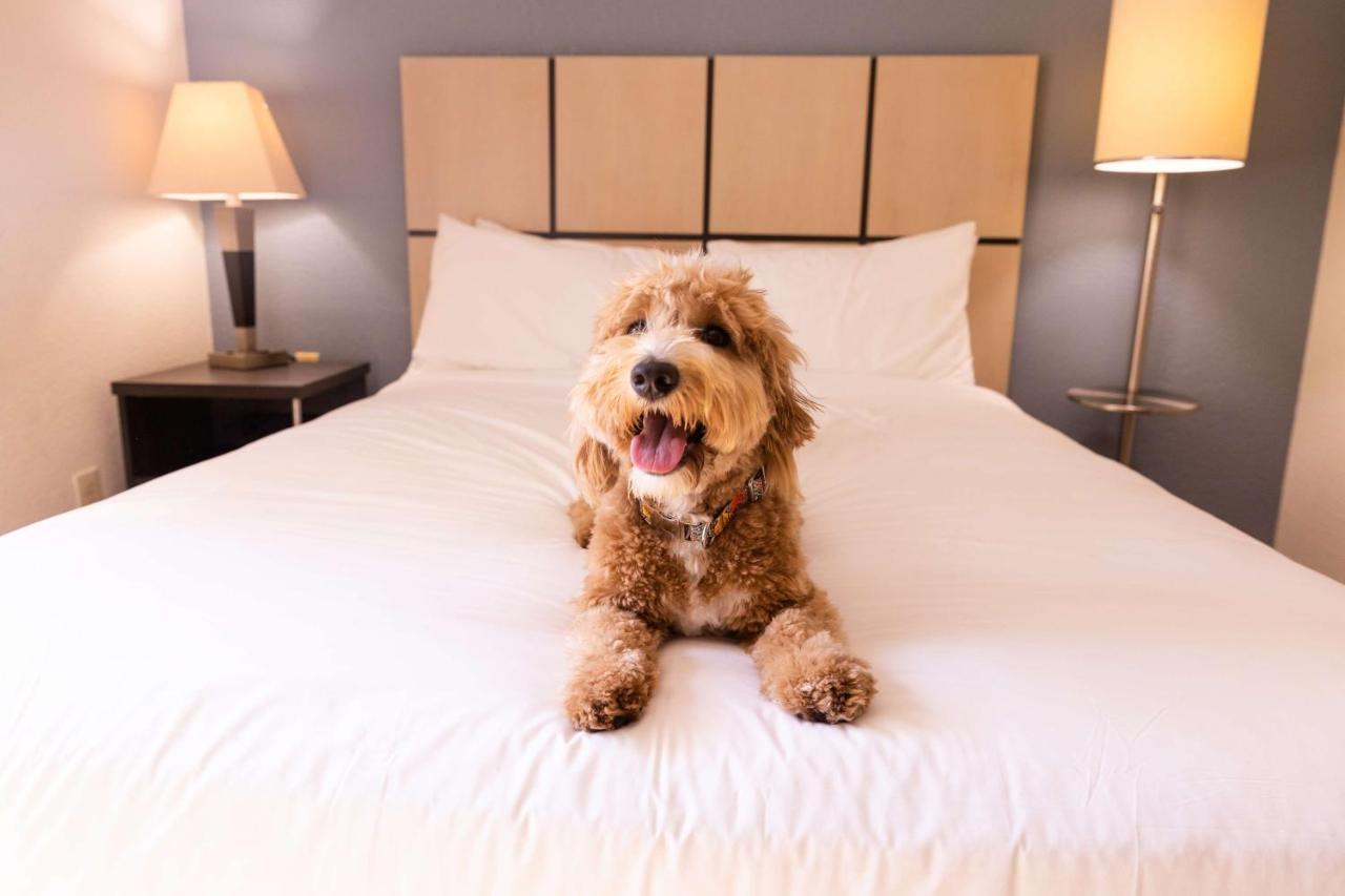 โซเนสตา ซิมพลี สวีท โคลัมบัส แอร์พอร์ต Hotel Gahanna ภายนอก รูปภาพ